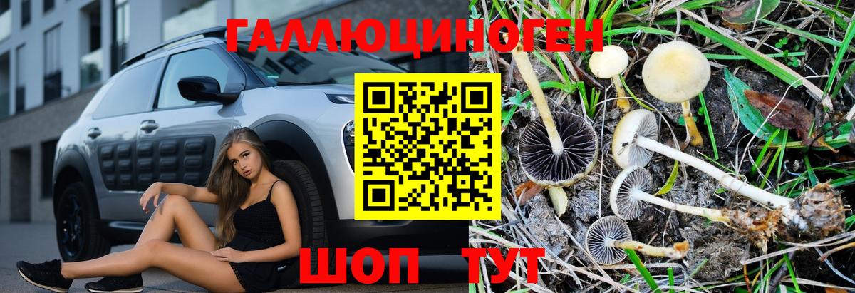 Озёрск  Галлюциногенные грибы Magic Shrooms  Вход с VPN 
